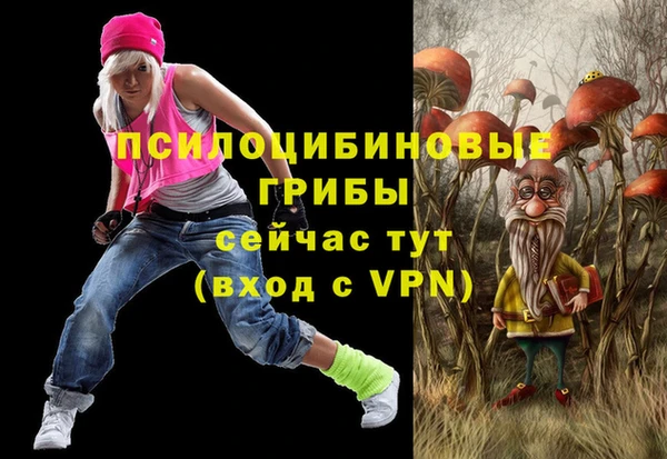 синтетический гашиш Медвежьегорск