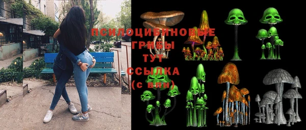 синтетический гашиш Медвежьегорск