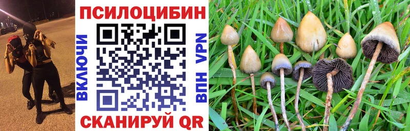 Псилоцибиновые грибы Psilocybine cubensis shop какой сайт Ульяновск что такое наркотик