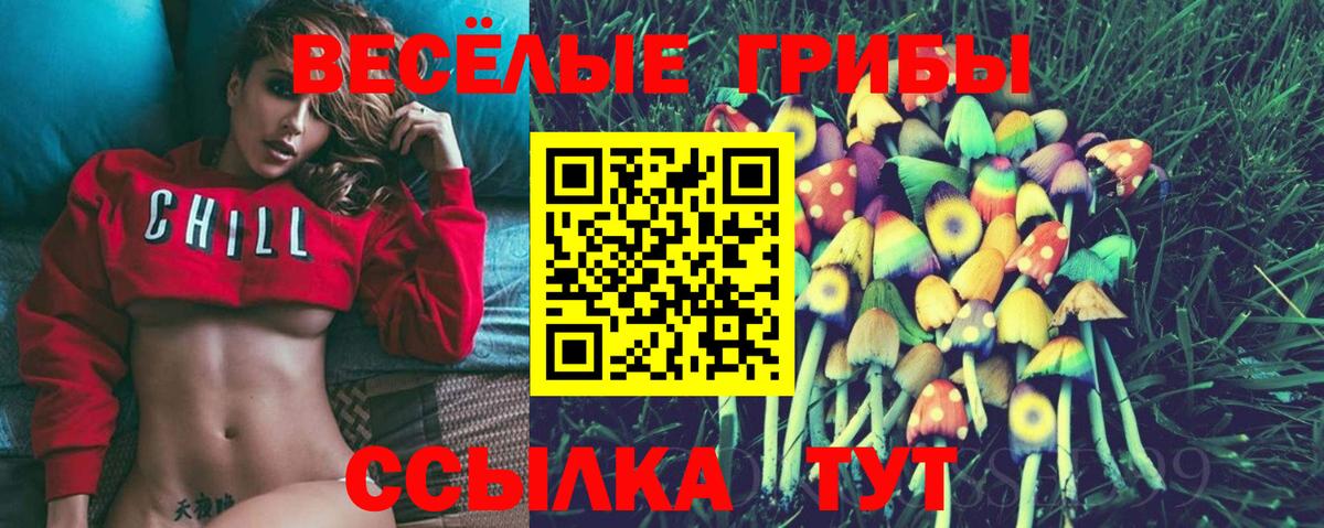 Псилоцибиновые грибы мухоморы Ульяновск