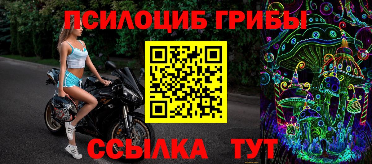 Псилоцибиновые грибы прущие грибы Ульяновск